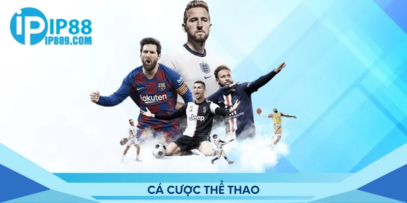 Cá cược thể thao đầy kích tính