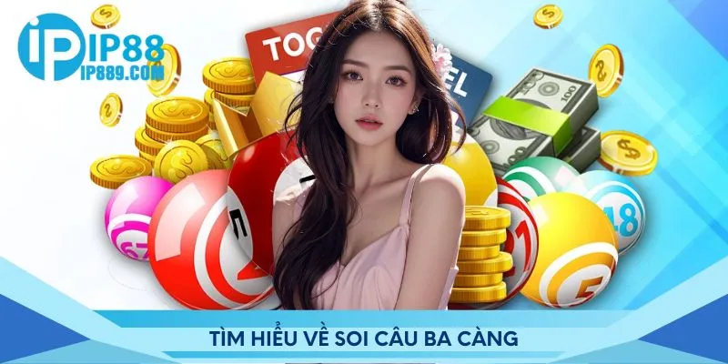 Tìm hiểu về soi câu ba càng IP88