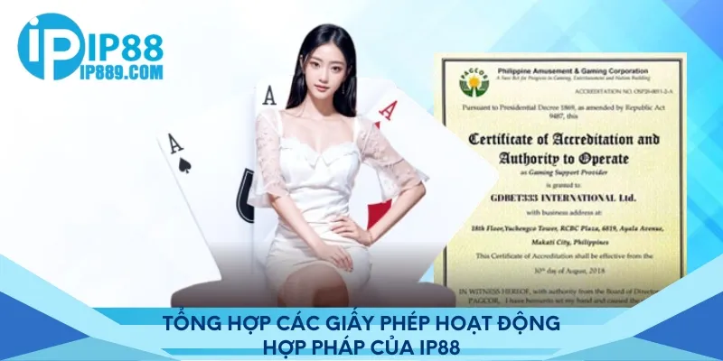 Tổng hợp các giấy phép hoạt động hợp pháp của Ip88
